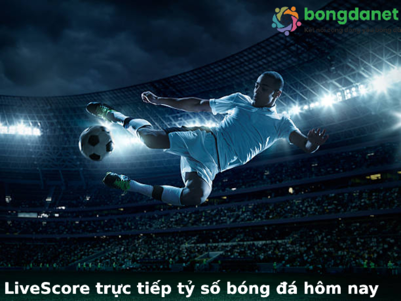 Livescore trực tiếp tỷ số trực tuyến